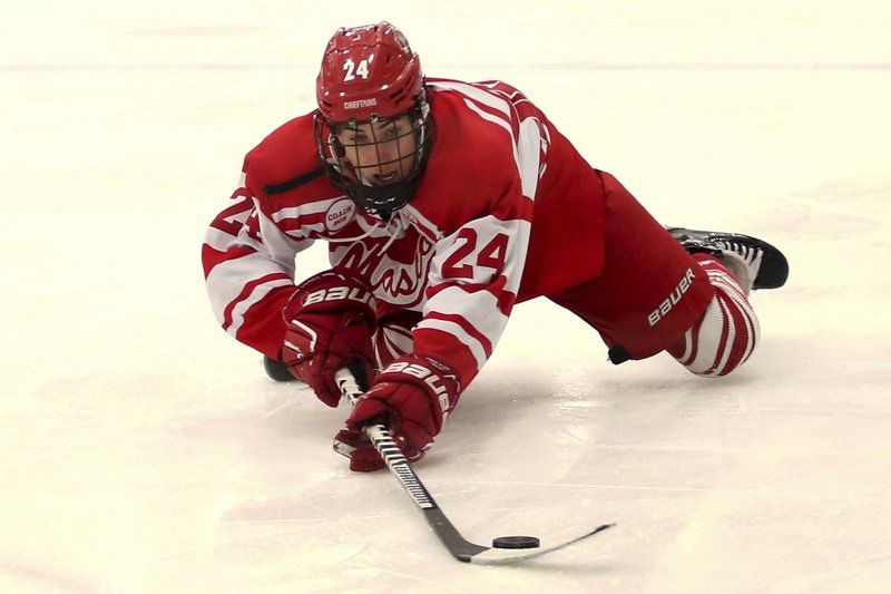 The Blue Line Report: Teams of the Decade: Picking the best of the very best in North Shore boys hockey over the last 10 seasons